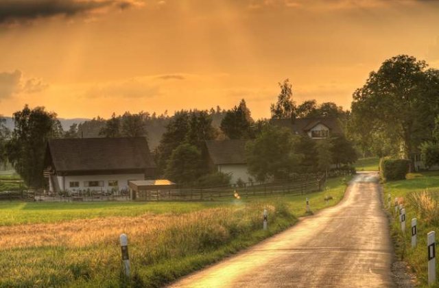 Guvernul vrea sa reabiliteze 10.000 de km de drumuri judetene