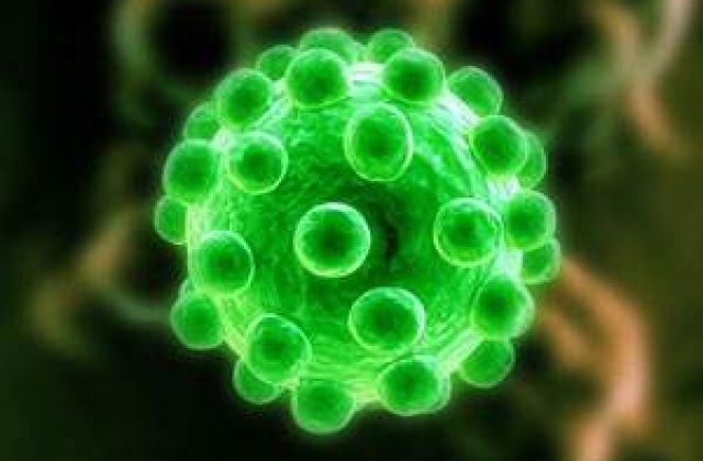 Moment istoric in lupta impotriva SIDA: S-a descoperit un vaccin anti-HIV