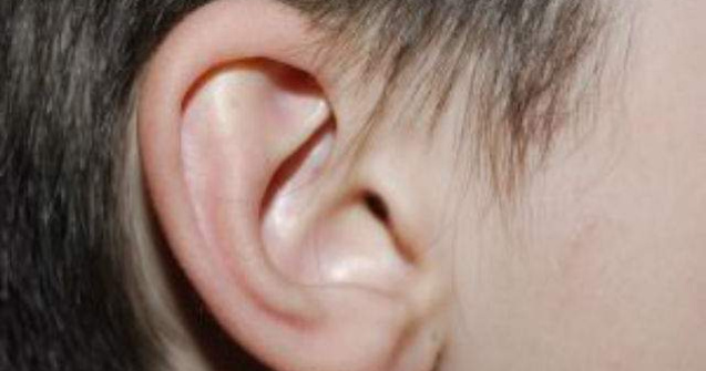 Urechi artificiale, create cu ajutorul tehnologiei 3D