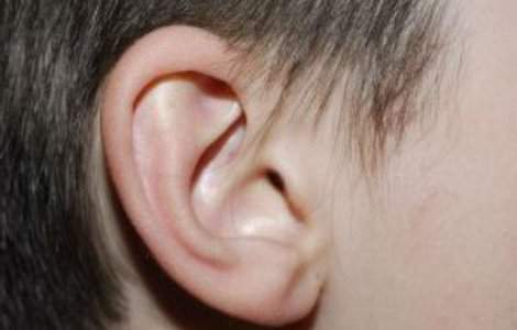 Urechi artificiale, create cu ajutorul tehnologiei 3D