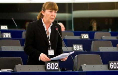 Macovei, despre sefia PDL: Voi face un anunt pana la sfarsitul saptamanii