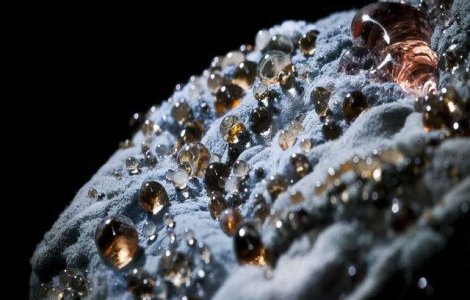  Top  Mucegaiul vazut cu alti ochi: 10 Cele mai "aratoase" alimente alterate