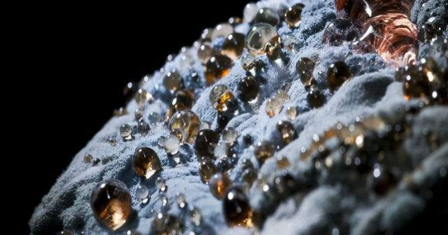  Top  Mucegaiul vazut cu alti ochi: Topul celor mai "aratoase" alimente alterate