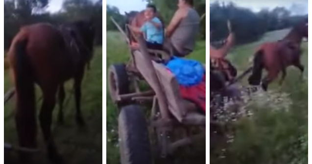 VIDEO Cal chinuit și bătut de stăpânul care a vrut să se dea mare pe internet