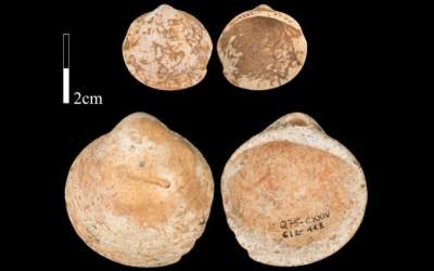 STUDIU Oamenii purtau coliere...