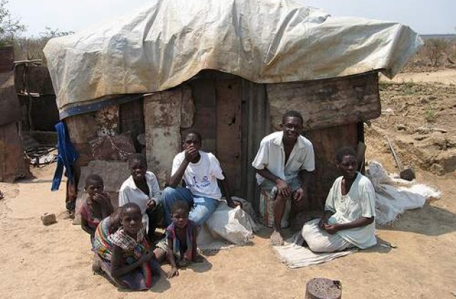 Zimbabwe: Oamenii vand pui pentru a plati taxele de scolarizare