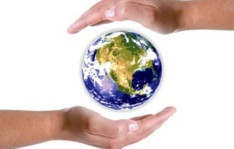  Top  Cele mai bune companii pentru planeta