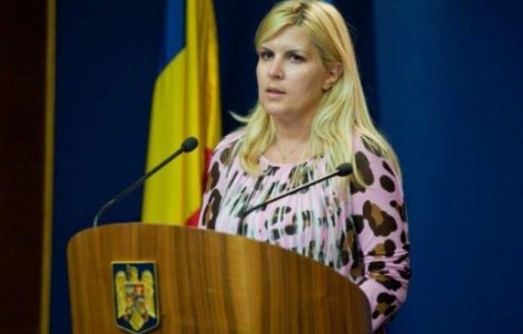 Udrea: Comisia de organizare a alegerilor din PDL, formata doar din sustinatorii lui Blaga