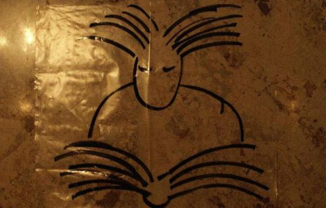 Norman Manea si Andrei Plesu vor primi indemnizatii de merit pe viata