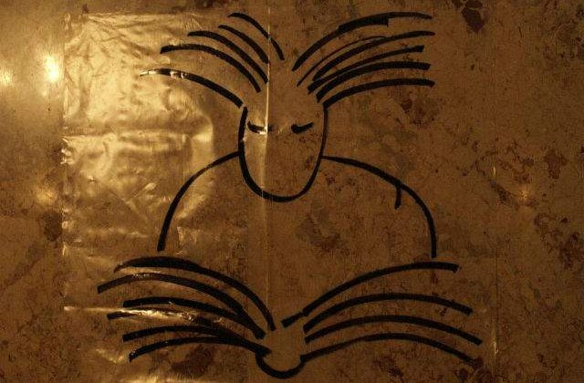 USR: Norman Manea si Andrei Plesu vor primi indemnizatii de merit pe viata