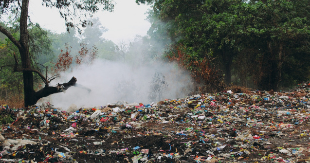 Legea mirosurilor se aplică de joi. Ce prevede și ce amenzi pot fi date