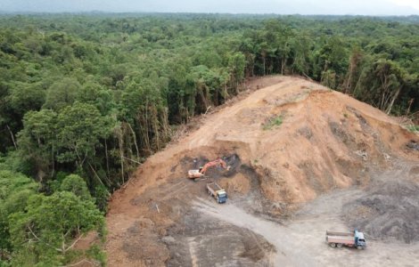 USR acuză Guvernul Orban că sprijină mafia lemnului