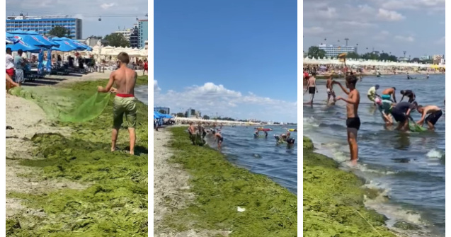 VIDEO Țărmul Mării Negre, înecat sub mii de tone de alge