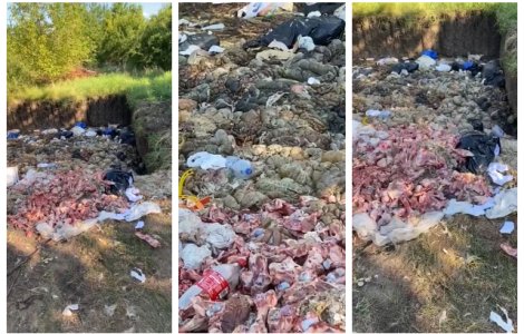 VIDEO Dezastru ecologic descoperit de inspectorii DSVSA la Râmnicu Sărat
