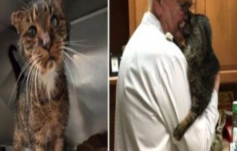 Pisică de 15 ani este luată în brațe după mulți ani de abandon. Reacția ei