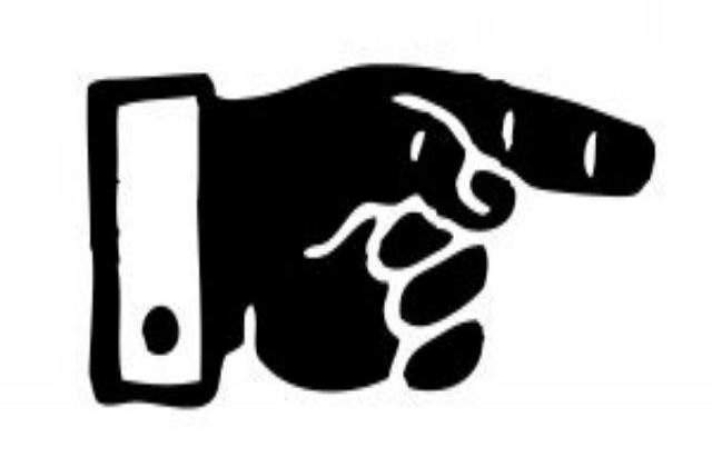 Un politician german vrea reintroducerea vizelor pentru bulgari si romani