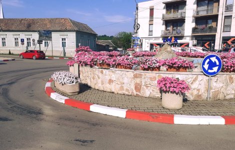 VIDEO Doi bărbați din Cluj au fost prinși în timp ce furau jardiniere din centrul oraşului