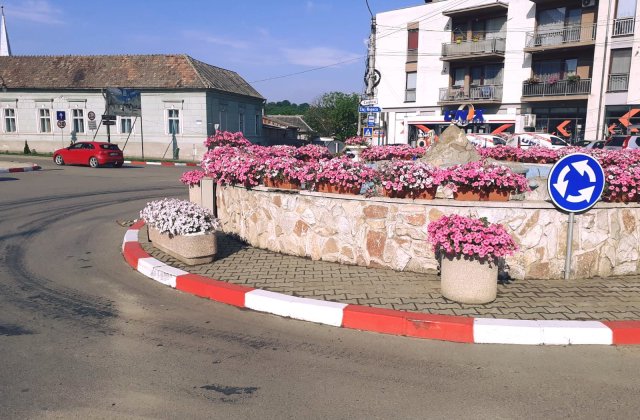 VIDEO Doi bărbați din Cluj au fost prinși &icirc;n timp ce furau jardiniere din centrul oraşului