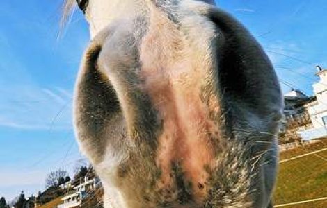 Cel mai inalt cal din lume