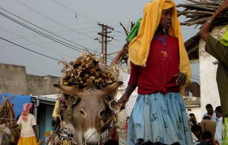 Seceta infometeaza peste 23 milioane de africani