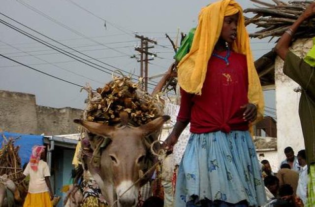 Seceta infometeaza peste 23 milioane de africani