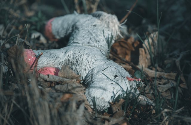 Peste 900 de femei au dispărut în Peru de la începutul pandemiei