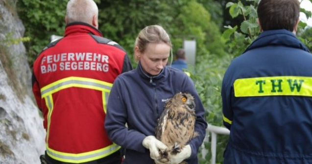 Un pompier și-a riscat viața pentru a salva o bufniță căzută într-o fântână