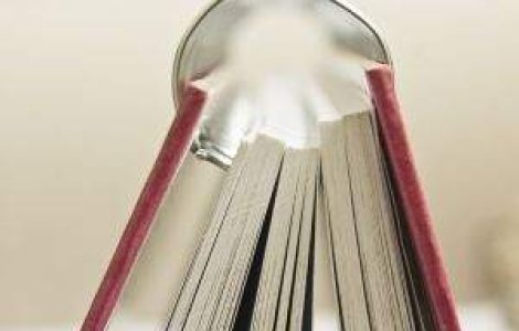 CEDO a refuzat sa primeasca fotocopiile volumelor din dosarul Revolutiei