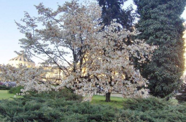 Meteo: Vremea continua sa se incalzeasca la inceputul saptamanii