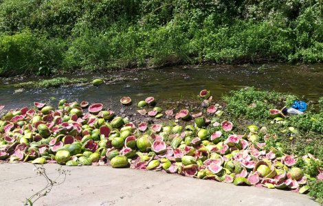 FOTO Sute de pepeni stricați au fost aruncați pe șoseaua Deva-Brad
