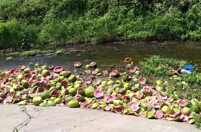 FOTO Sute de pepeni stricați au fost aruncați la întâmplare pe marginea Drumului Naţional Deva – Brad