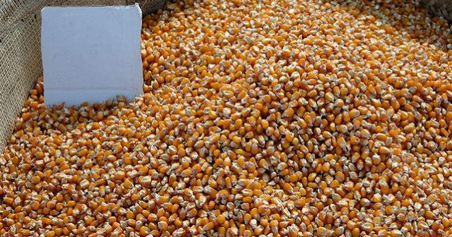 Furaje contaminate, din Romania si Serbia, descoperite in Olanda