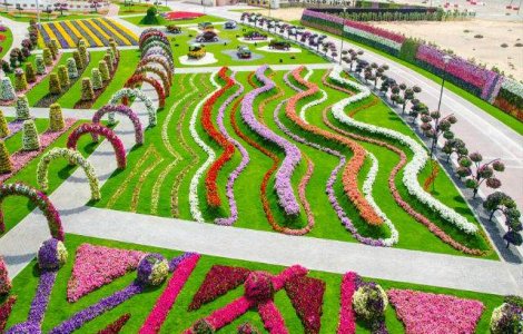 Cea mai mare gradina de flori din lume s-a deschis in Dubai