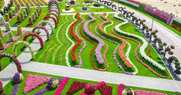 Cea mai mare gradina de flori din lume s-a deschis in Dubai