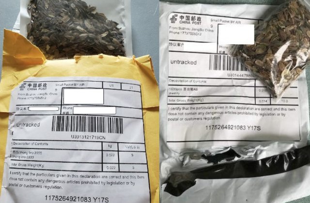 Ce se află, de fapt, &icirc;ntre semințele misterioase trimise din China &icirc;n SUA