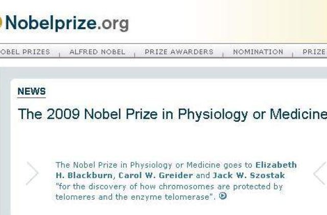 Au fost anuntati laureatii Nobelului pentru Medicina