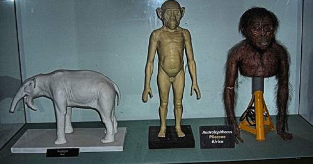 Descopera cel mai vechi stramos al omului