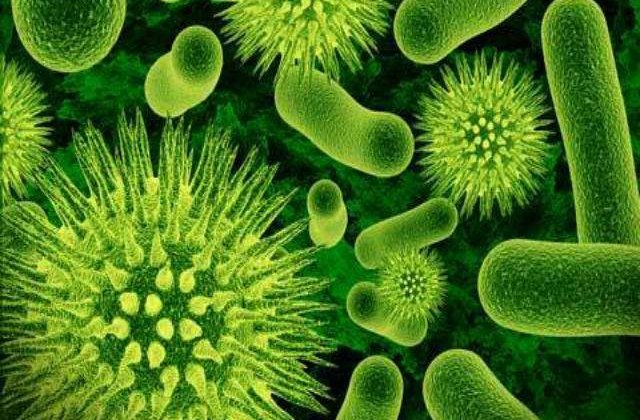 Alerta in SUA din cauza unei bacterii rezistente la antibiotice