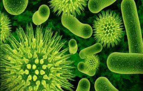 Alerta in SUA din cauza unei bacterii rezistente la antibiotice