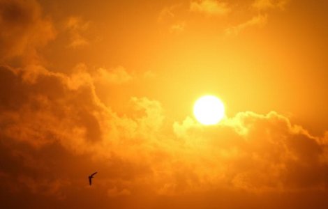 Cod GALBEN de caniculă și vânt puternic în 20 de județe