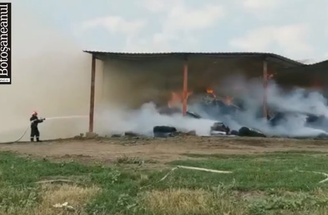 VIDEO Zeci de pompieri încearcă să stingă, de 24 de ore, un incendiu