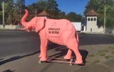 Protest cu elefantul roz la Cotroceni, la doi ani de la protestele din 10 august