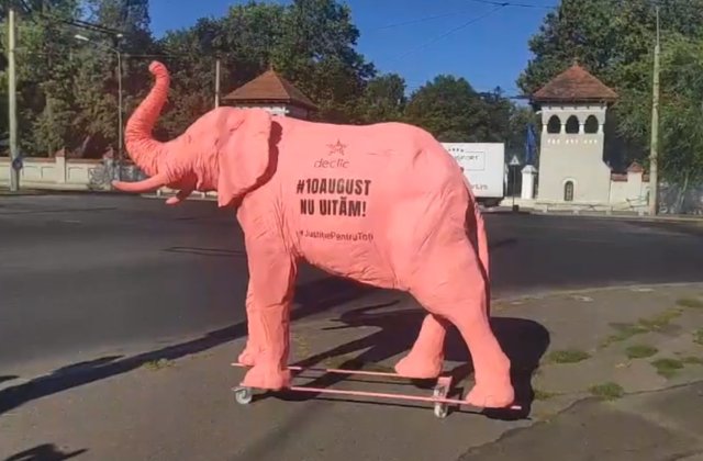 Protest cu elefantul roz la Cotroceni, la doi ani de la protestele din 10 august