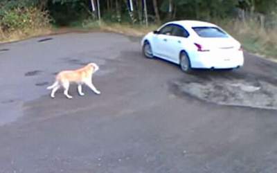 VIDEO Momentul tulburător în...
