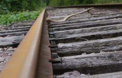 O studenta, violata intr-un tren care circula pe ruta Franta - Italia