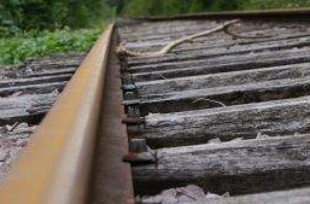 O studenta, violata intr-un tren care circula pe ruta Franta - Italia