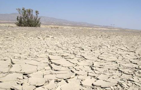 70% din solul planetei risca se devina desert pana in 2025