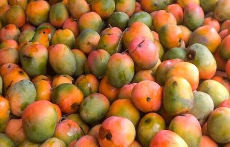  Top  Acul din carul cu fân: Poți găsi animalele ascunse în aceste imagini?