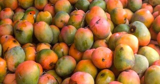  Top  Acul din carul cu fân: Poți găsi animalele ascunse în aceste imagini?