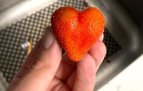  Top  Cu siguranță te vor surprinde! 10+ lucruri incredibile decoperite întâmplător